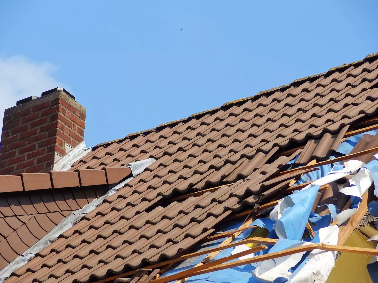 damaged roof shingles